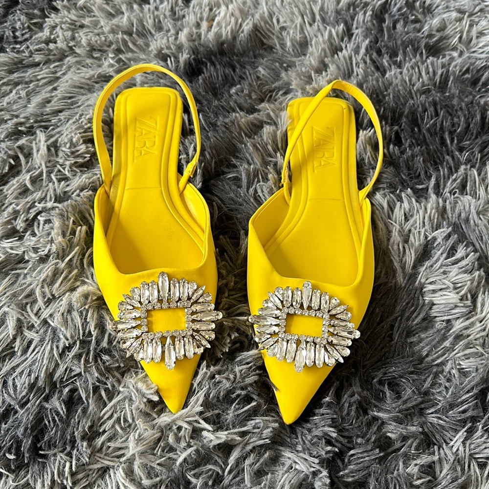 Zara Mules